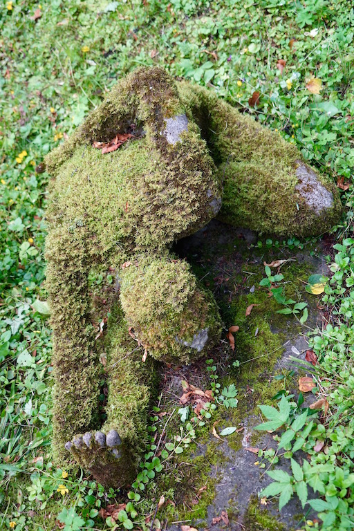 Moss Covered