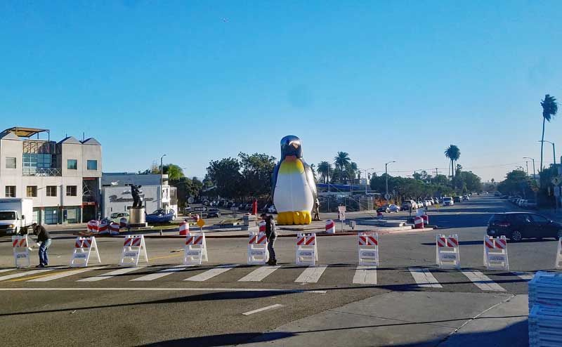 The winter penguin is out inside the Windward circle in preparation for the sign lighting tonight.