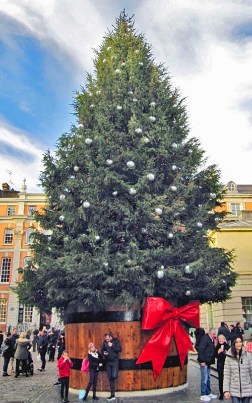 Christmas tree Covent Garden