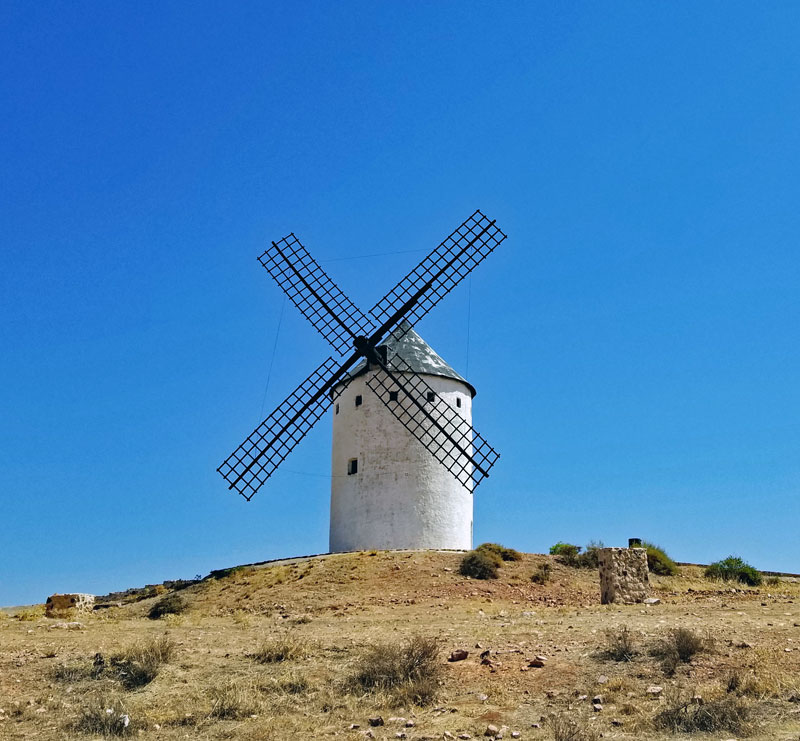 One of the windmills