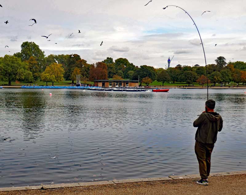 A fisherman at the one spot at the Serpentine where fishing is allowed.
