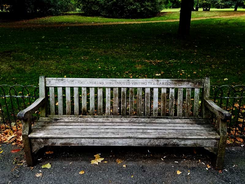 Anne Andrews bench in Hude Park.