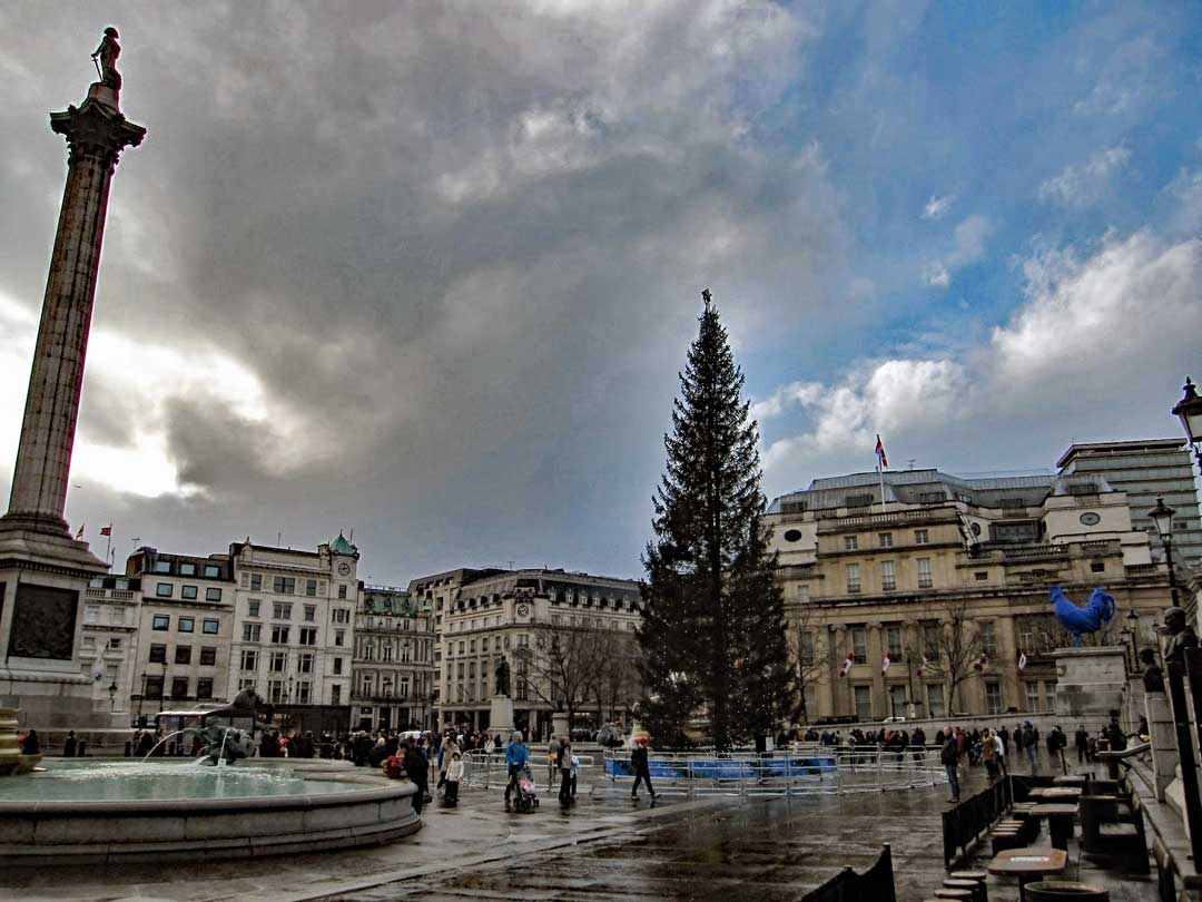 The Christmas tree that is donated to the City of London each year by the country of Norway as a thank you for their support during WWII. This one is from 2013.