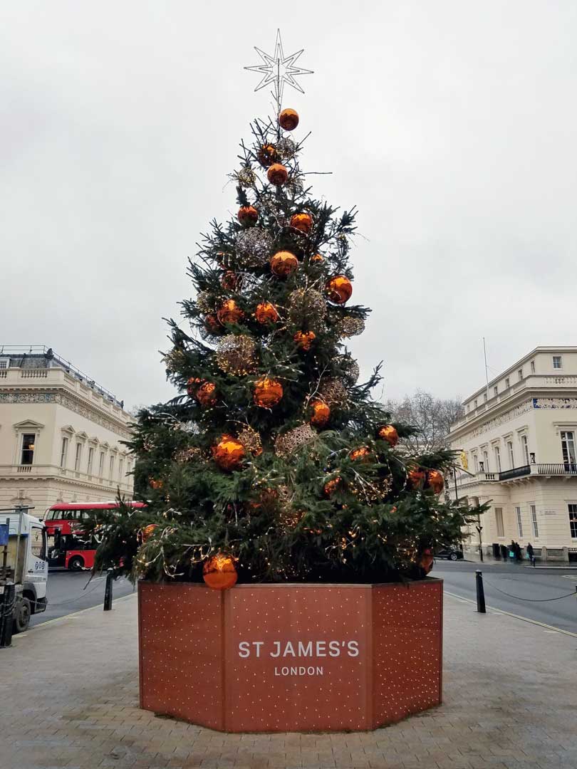 Another London tree at St James's Place.