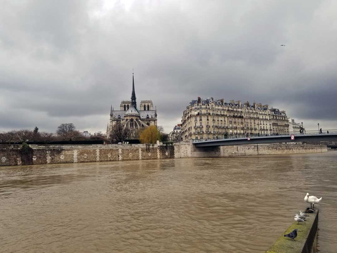 Another view of the river Seine towards Ice Saint-Louis.