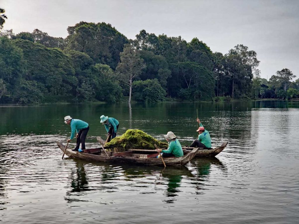 A crew clearing out vegetation in the moat surrounding Angkor Wat.